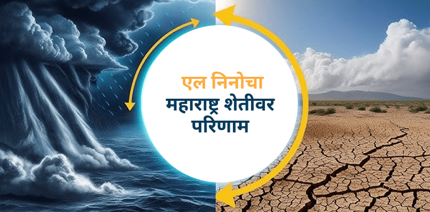 एल निनो म्हणजे काय? आणि भारतीय मान्सूनवर त्याचा प्रभाव