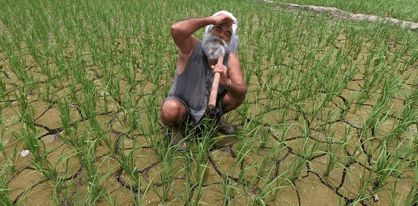 उशिरा मान्सूनमुळे पेरणी आणि उत्पादनावर होणारे परिणाम